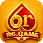 R6 game